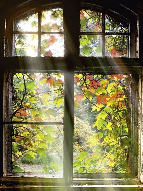 Laudes de Quinta-feira da 16ª Semana do Tempo Comum