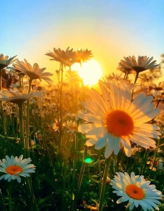 Laudes de Segunda-feira da 15ª Semana do Tempo Comum